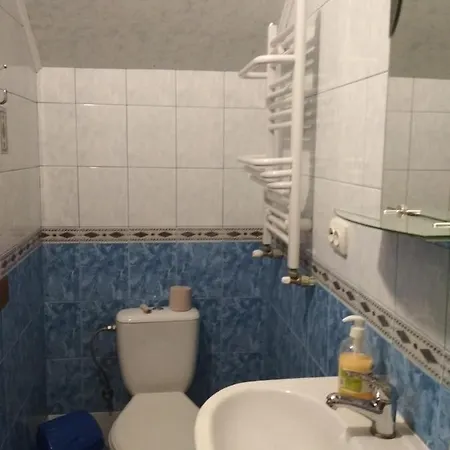Guest house Milana Slavske