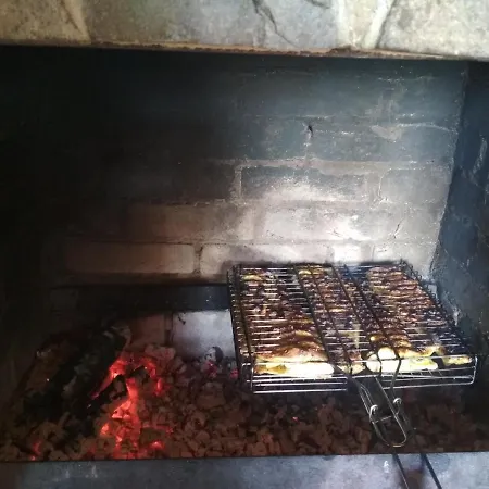 Milana Guest house Slavske