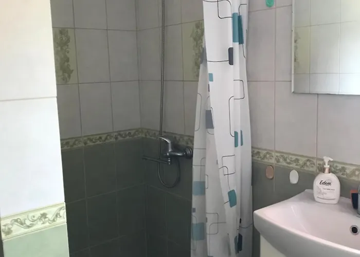Milana Guest house *