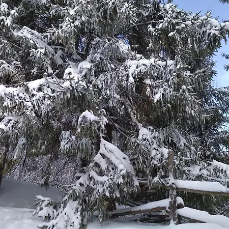 Vendégház Milana Szlavszke